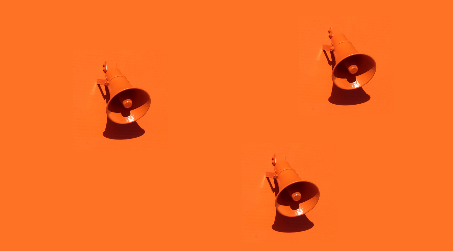 Everbold - Digital marketing servies